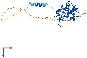 SPACA3 Protein (AA 1-215) (His tag)