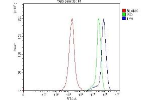 Flow Cytometry analysis of Jurkat cells using anti-TPR antibody (ABIN7603243). (TPR Antikörper  (N-Term))