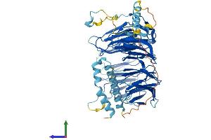 AlphaFold protein structure predicition of Mouse Recombinant Eif2a Protein, UniprotID Q8BJW6