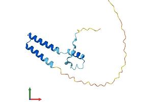 AlphaFold protein structure predicition of Mouse Recombinant Fam216b Protein, UniprotID Q8CC14