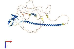 RNF168 Protein (AA 1-571) (His tag)