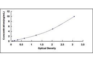 BRCA1 ELISA Kit