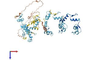 AlphaFold protein structure predicition of Human Recombinant ZNF667 Protein, UniprotID Q5HYK9
