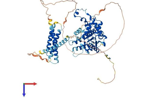 Spastin Protein (SPAST) (AA 1-614) (His tag)