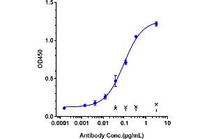 Immobilized human ICOS FC at 2 μg/mL can bind Anti-ICOS / CD278 Reference Antibody (feladilimab), EC50=0.