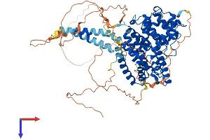 PDE4C Protein (AA 1-686) (His tag)
