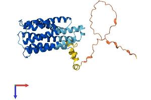 AlphaFold protein structure predicition of Mouse Recombinant Tmem185a Protein, UniprotID A2AF53