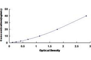 Typical standard curve (COL3A1 ELISA Kit)