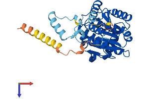 RDH14 Protein (AA 1-334) (His tag)