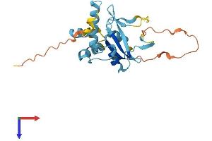 SOCS3 Protein (AA 1-225) (His tag)