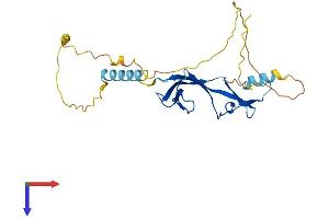 EAF1 Protein (AA 1-268) (His tag)