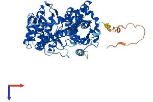 GRK6 Protein (AA 1-576) (His tag)