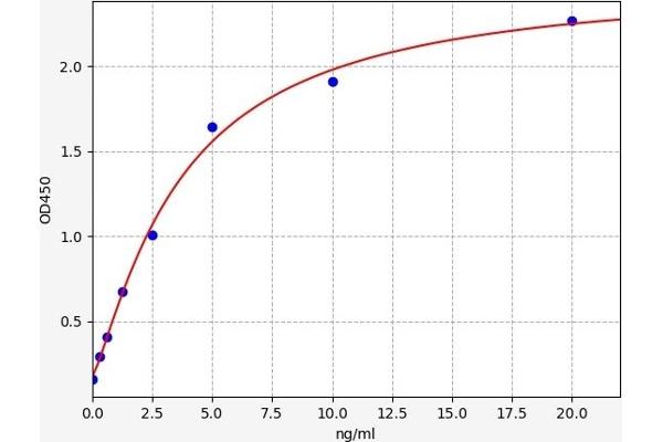 NR1I3 ELISA Kit