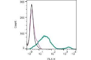 Cell surface detection of LRRC33 by indirect flow cytometry in live intact mouse  microglia cell line: + goat-anti-rabbit-FITC.