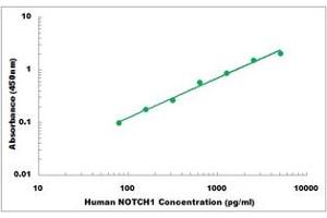 Representative Standard Curve (Notch1 ELISA Kit)