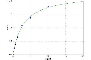 A typical standard curve