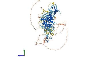 AlphaFold protein structure predicition of Human Recombinant PRKD3 Protein, UniprotID O94806