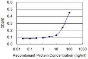 Detection limit for recombinant GST tagged PURA is approximately 10ng/ml as a capture antibody. (PURA Antikörper  (AA 183-292))