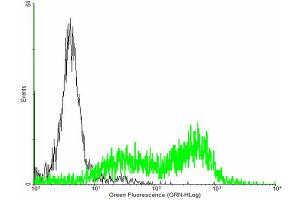 FACS analysis of negative control 293 cells (Black) and HFE expressing 293 cells (Green) using HFE purified MaxPab mouse polyclonal antibody. (HFE Antikörper  (AA 1-348))