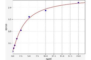 Typical standard curve (SULT1E1 ELISA Kit)