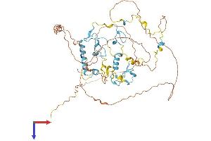AlphaFold protein structure predicition of Human Recombinant ZCCHC7 Protein, UniprotID Q8N3Z6