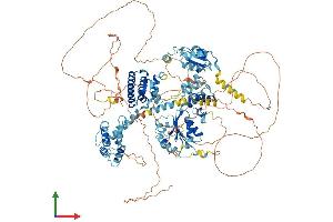 Protein Structure (PS) image for Replication Factor C (Activator 1) 1, 145kDa (RFC1) (AA 1-1131) protein (His tag) (ABIN7563182)