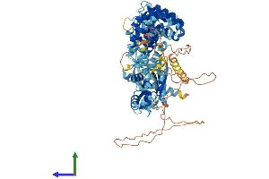 Protein Structure (PS) image for Ventricular Zone Expressed PH Domain-Containing 1 (VEPH1) (AA 1-833) protein (His tag) (ABIN7561851)