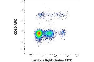 Flow cytometry multicolor surface staining of human lymphocytes stained using anti-human Lambda Light Chain (1-155-2) FITC antibody (4 μL reagent / 100 μL of peripheral whole blood) and anti-human CD19 (LT19) APC antibody (10 μL reagent / 100 μL of peripheral whole blood). (Lambda-IgLC Antikörper  (FITC))