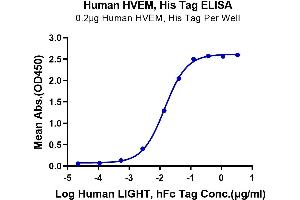 ELISA image for Tumor Necrosis Factor Receptor Superfamily, Member 14 (TNFRSF14) (AA 39-202) protein (His tag) (ABIN7274831)
