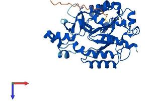 PLCXD1 Protein (AA 1-323) (His tag)