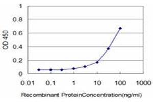 Detection limit for recombinant GST tagged KCNE1 is approximately 3ng/ml as a capture antibody. (KCNE1 Antikörper  (AA 67-129))