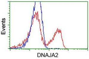 HEK293T cells transfected with either RC202204 overexpress plasmid (Red) or empty vector control plasmid (Blue) were immunostained by anti-DNAJA2 antibody (ABIN2452950), and then analyzed by flow cytometry. (DNAJA2 Antikörper)