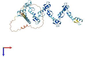 ZNF331 Protein (AA 1-463) (His tag)