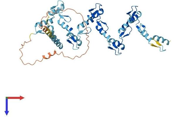 ZNF331 Protein (AA 1-463) (His tag)