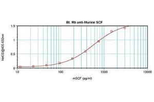 Image no. 2 for anti-KIT Ligand (KITLG) antibody (Biotin) (ABIN465801) (KIT Ligand Antikörper  (Biotin))