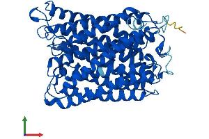 Protein Structure (PS) image for Cytochrome C Oxidase Subunit I (COX1) (AA 1-514) protein (His tag) (ABIN7562719)