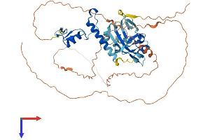 ZNHIT6 Protein (AA 1-470) (His tag)
