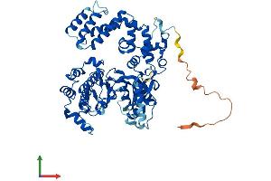 Protein Structure (PS) image for G Protein-Coupled Receptor Kinase 6 (GRK6) (AA 1-576) protein (His tag) (ABIN7562528)