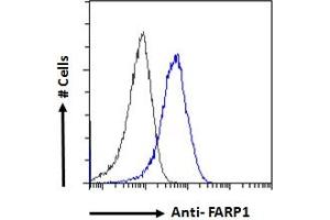 ABIN185104 Flow cytometric analysis of paraformaldehyde fixed HepG2 cells (blue line), permeabilized with 0. (FARP1 Antikörper  (N-Term))