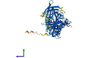 Protein Structure (PS) image for Copine VI (CPNE6) (AA 1-557) protein (His tag) (ABIN7556374)
