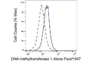 Validation of DNA methyltransferase 1 knockdown using flow cytometry. (Rekombinanter DNMT1 Antikörper)