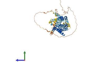 AlphaFold protein structure predicition of Human Recombinant SLC10A4 Protein, UniprotID Q96EP9