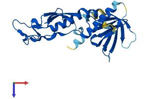 ZFYVE21 Protein (AA 1-234) (His tag)