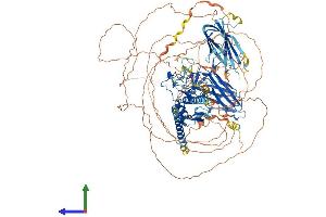 Protein Structure (PS) image for Chromosome 11open Reading Frame 9 (C11orf9) (AA 1-1151) protein (His tag) (ABIN7554601)