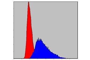 Flow cytometric analysis of Jurkat cells using ITK monoclonal antibody, clone 5G6  (blue) and negative control (red) .