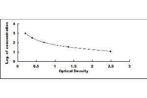 Typical standard curve (Galanin ELISA Kit)