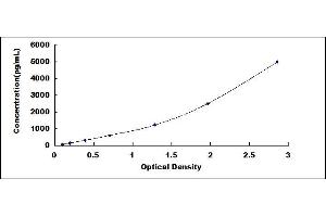 Typical standard curve