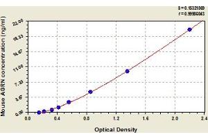 AGRN ELISA Kit