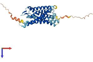 GPR17 Protein (AA 1-339) (His tag)