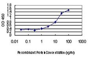 Detection limit for recombinant GST tagged MKNK1 is approximately 1ng/ml as a capture antibody. (MKNK1 Antikörper  (AA 1-465))